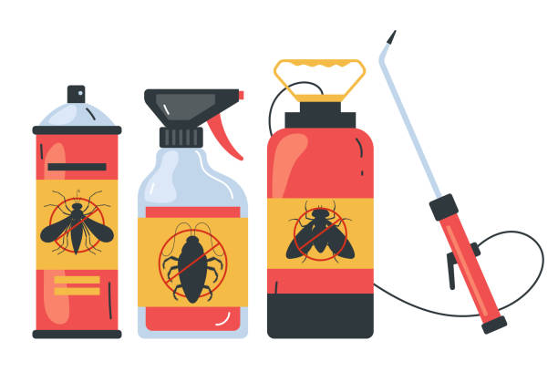 Wasp Removal Services in Red Oak, NC